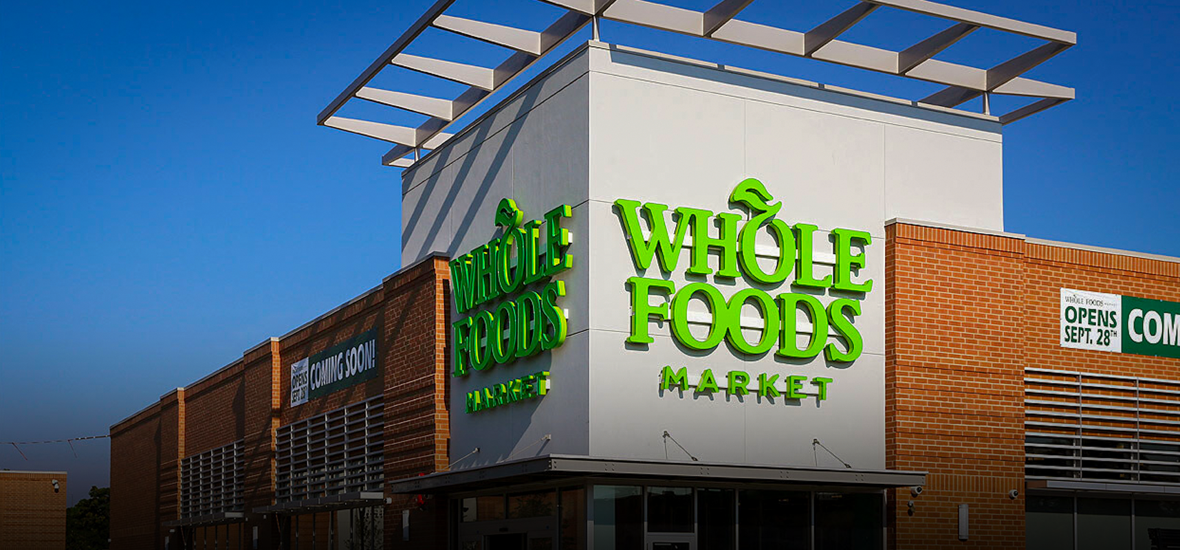 Whole Foods Hat A Deep Dive into Style, Branding, and Appeal.